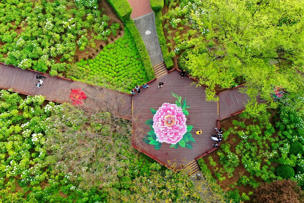 豫見高端，洛賞牡丹，錯(cuò)過(guò)等一年